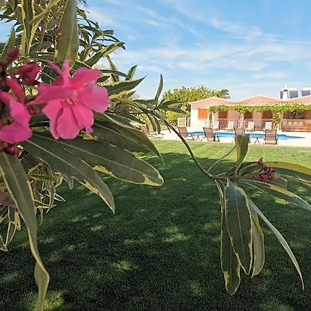 Gerendaház Casa Da Ladeira Branca *
